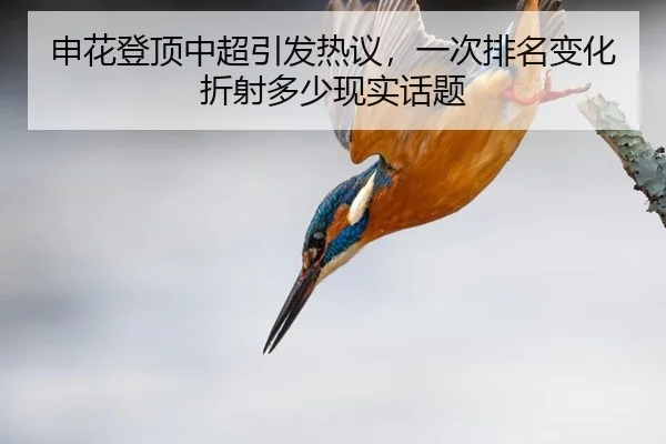 shen-hua-deng-ding-zhong-chao-yin-fa-re-yi-yi-ci-pai-ming-bian-hua-zhe-she-duo-shao-xian-shi-hua-ti-2-799.jpg