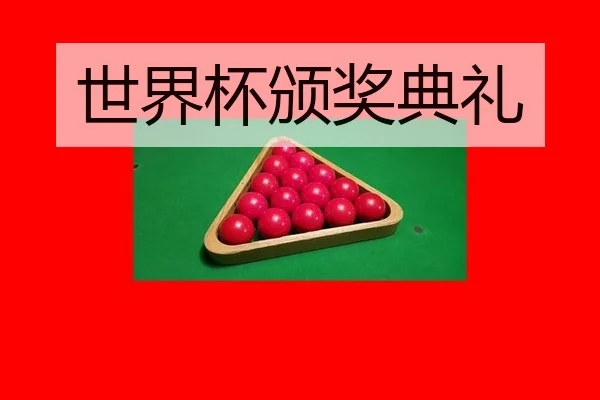 shi-jie-bei-ban-jiang-dian-li-2-182.jpg